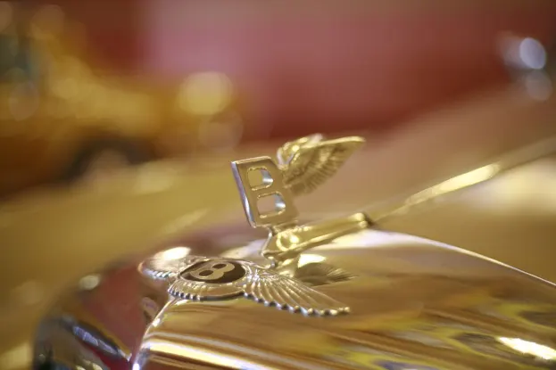 Casino BigWin Vegas Android/iOS Forrit